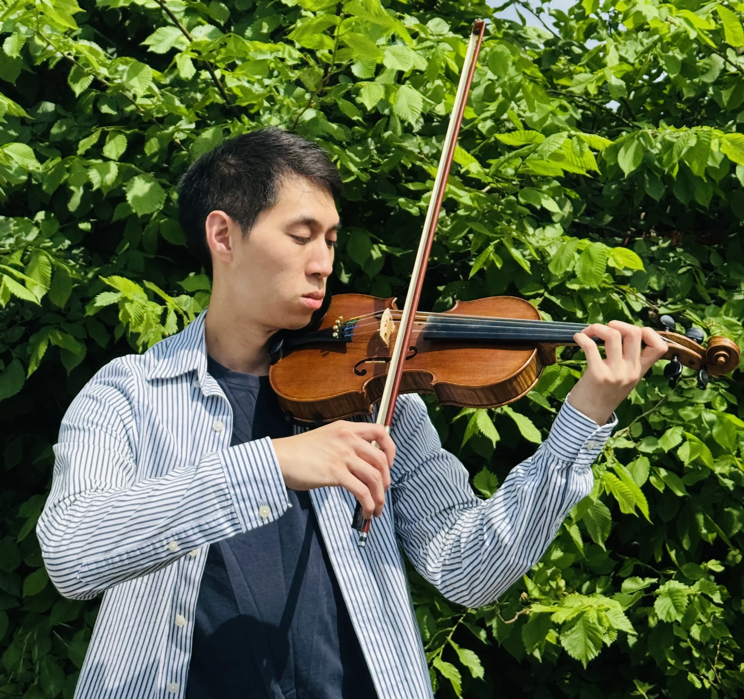 Hayden Violin Teacher in Sutton Hayden Violin Teacher in Sutton